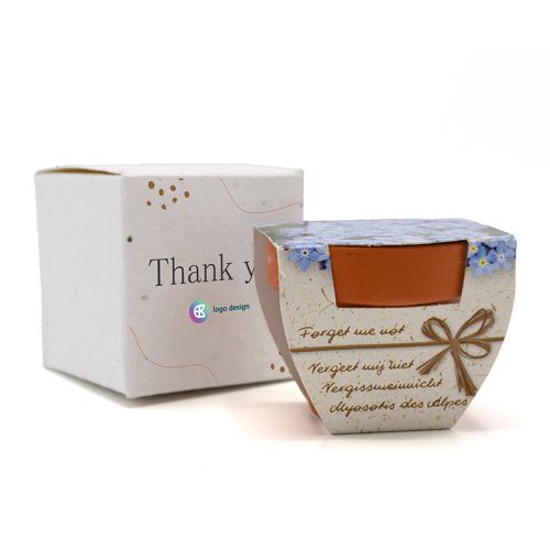 Terracotta pot in box - Image 1